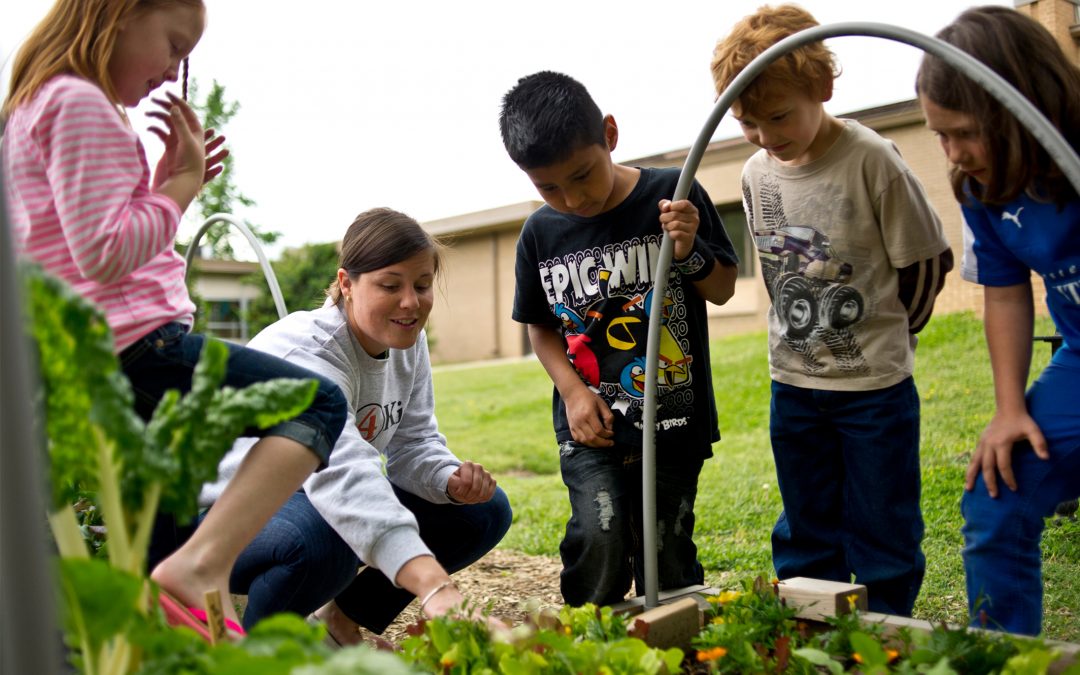 Elkhart Education Foundation plans ‘learning gardens’ for community